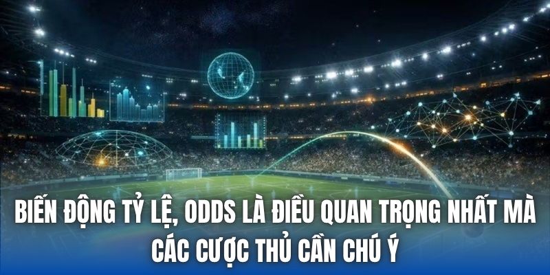 Biến động tỷ lệ, odds là điều quan trọng nhất mà các cược thủ cần chú ý