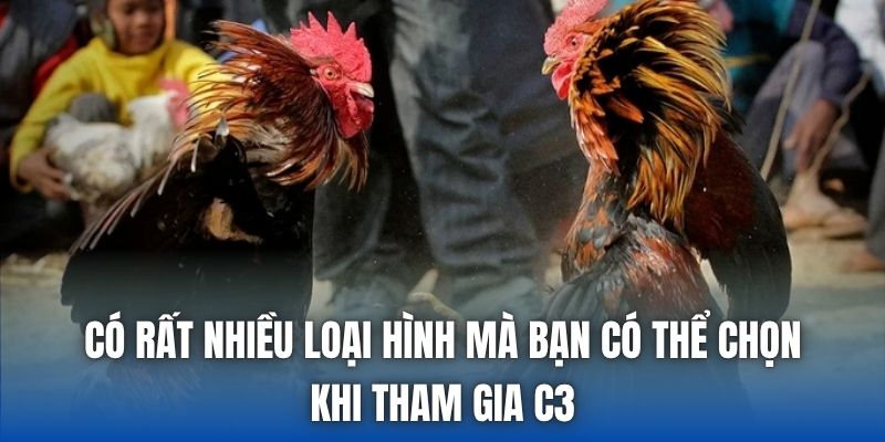 Có rất nhiều loại hình mà bạn có thể chọn khi tham gia C3