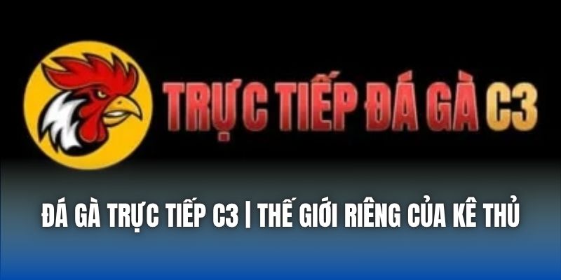 Đá Gà Trực Tiếp C3 | Thế Giới Riêng Của Kê Thủ
